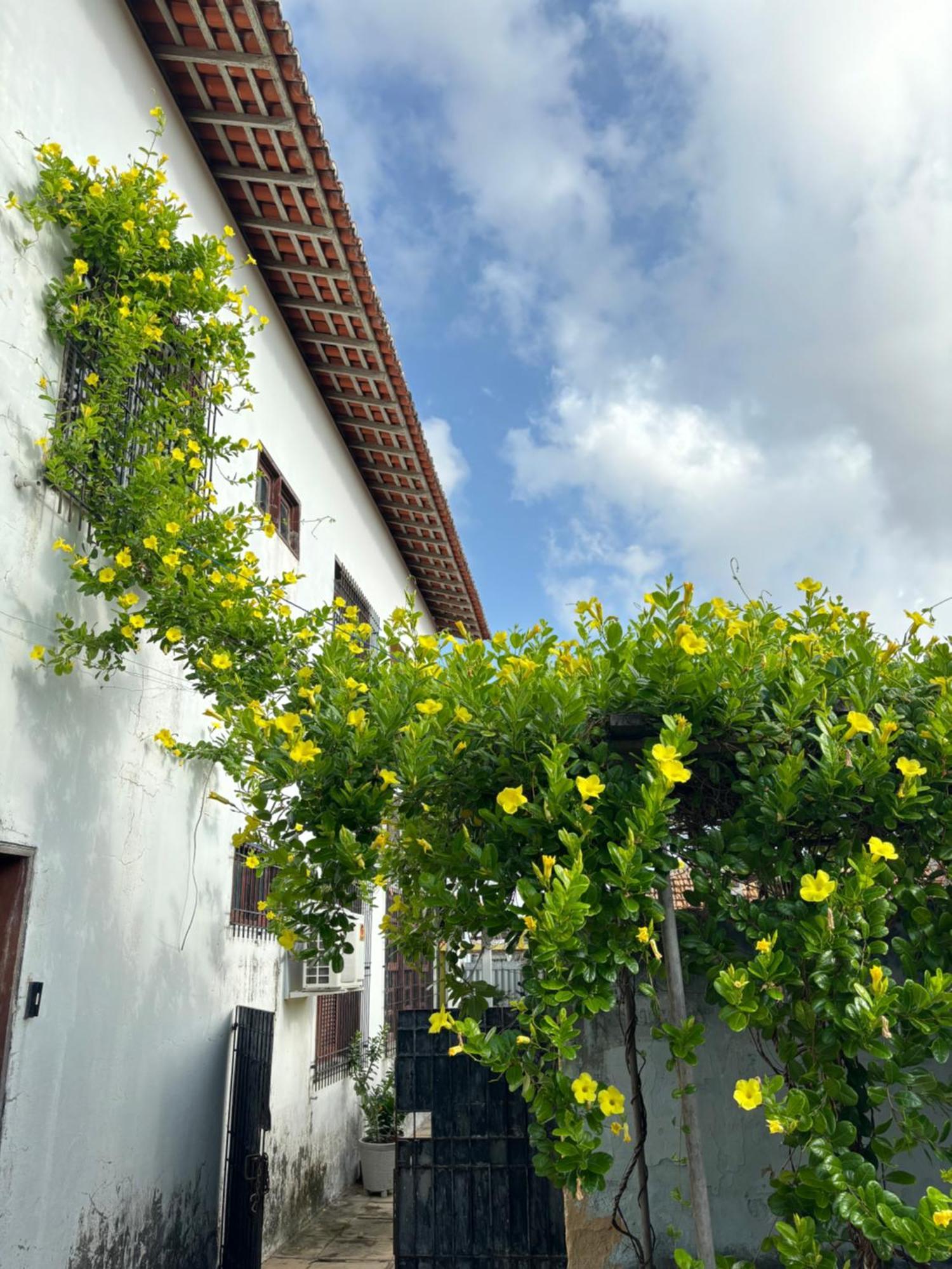 Parnaiba Hostel 外观 照片